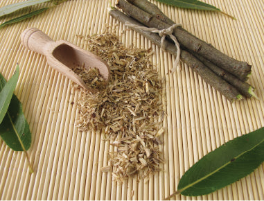 Nature’s Aspirin: Nêpisê (Willow Bark) & Pain Relief Tea