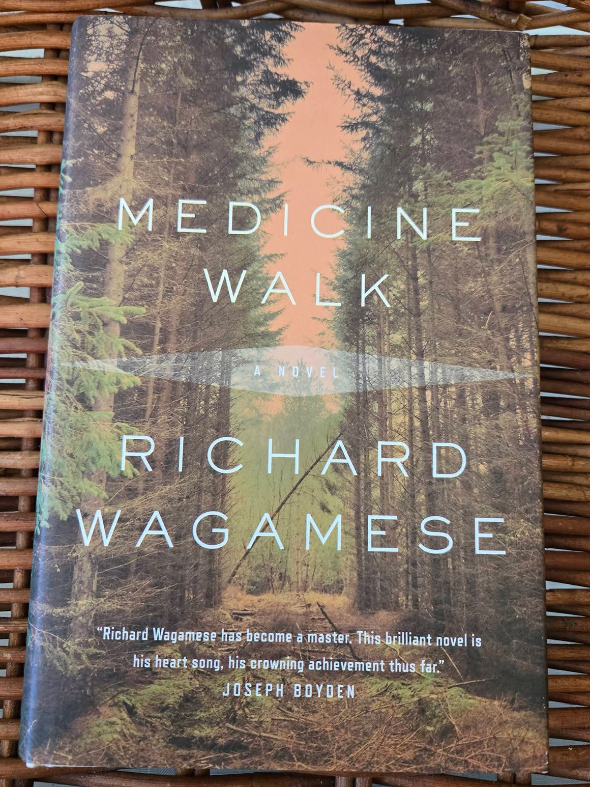 Medicine walk