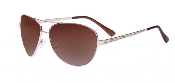 Arrow Sunglass Hummingbird
