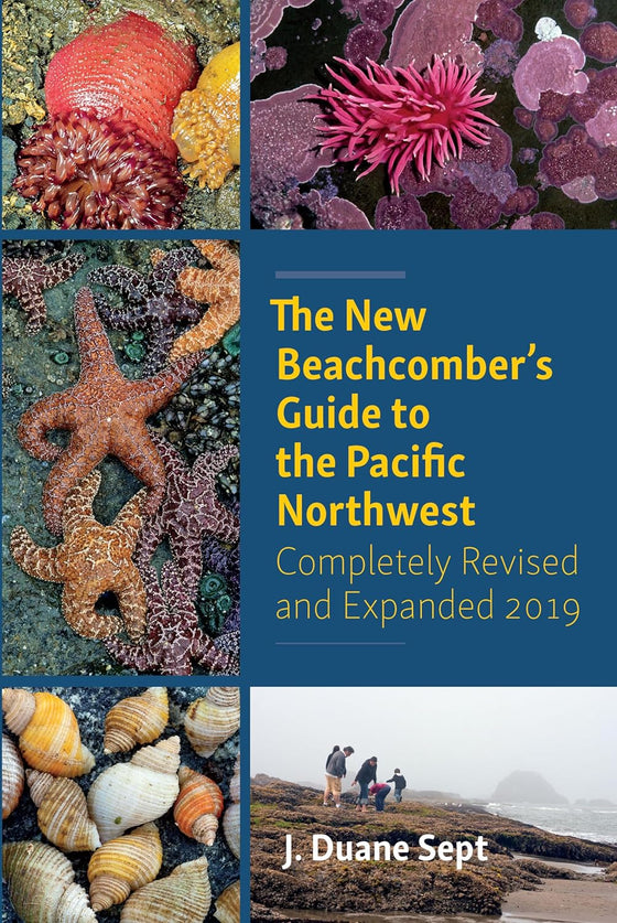 The New Beachcombers Guide To The Pacific Northwest