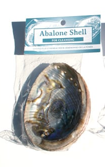 Abalone Shell