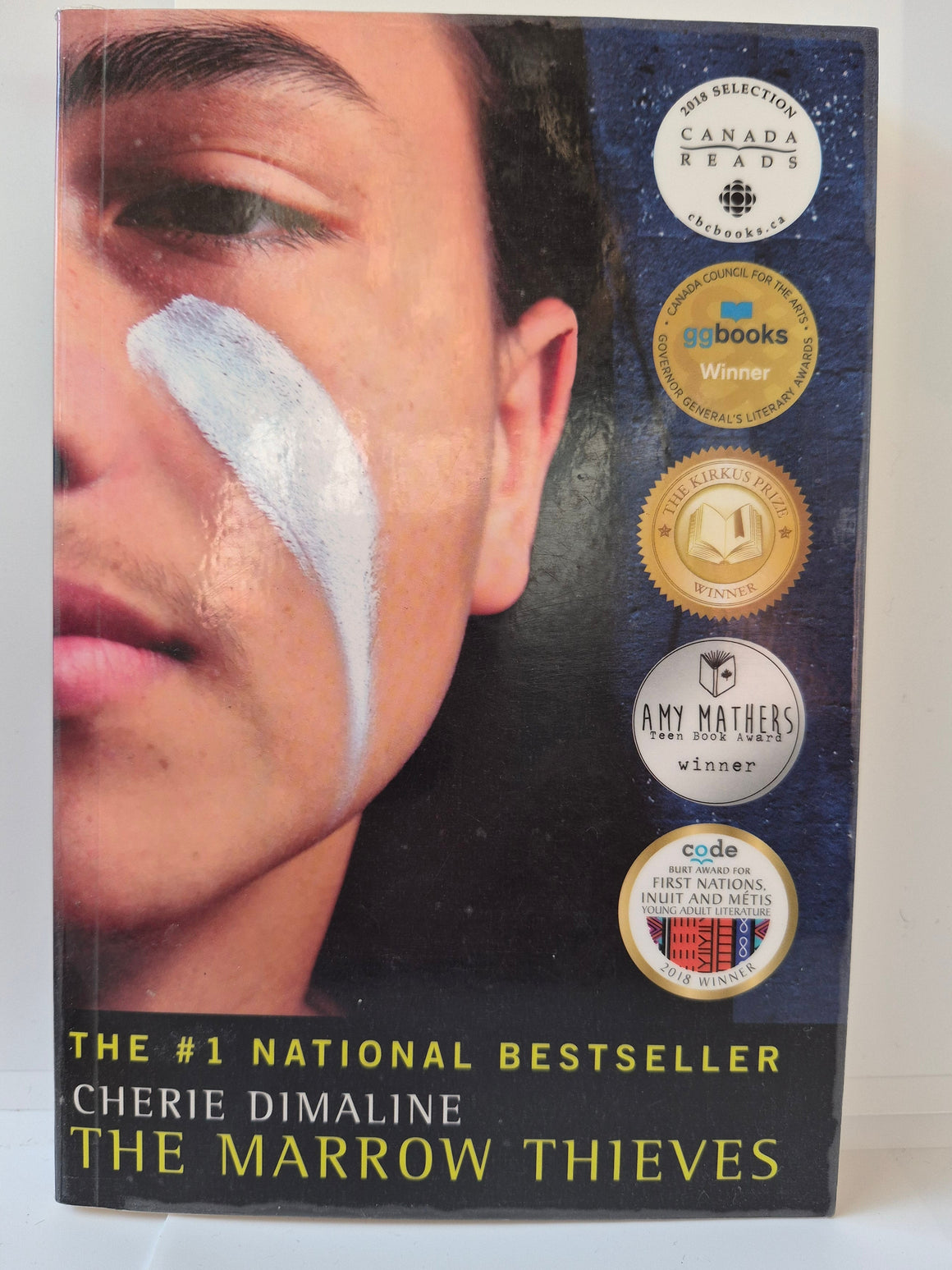 The Marrow Thieves by Métis author Cherie Dimaline.