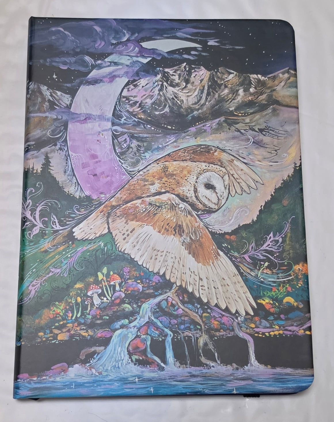 Owl Mountain Journey