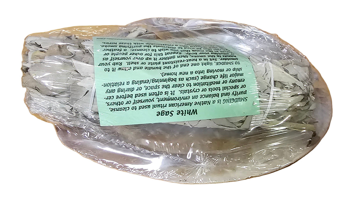 White & Sage Abalone