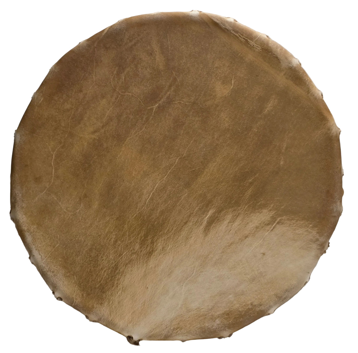 12" 2 Tan Elk Hide Drum